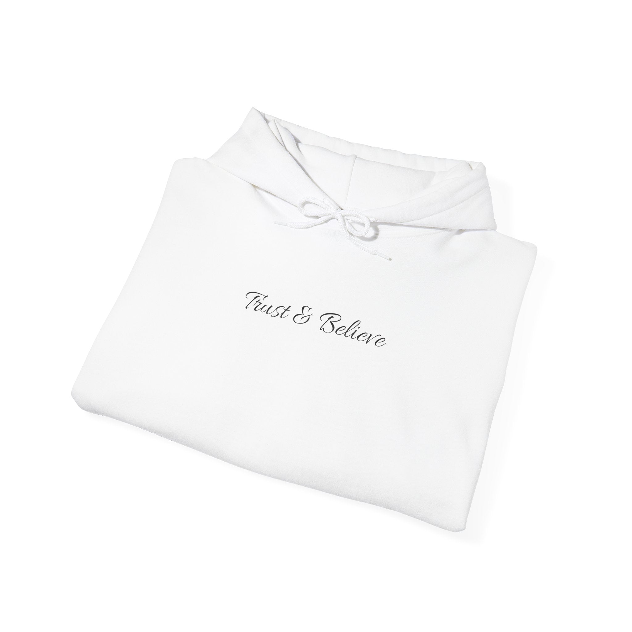 Trust & Believe Hoodie — Beach Palm Sunset Graphic Hooded Sweatshirt