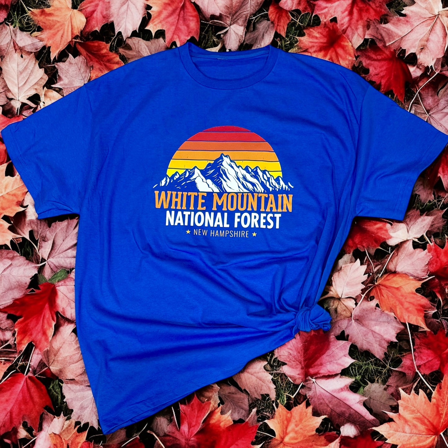 White Mountains Retro Sunset T-Shirt